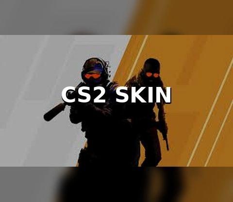 CS2 Skin